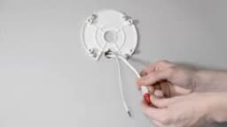 AXIS P1448-LE from AXIS COMMUNICATIONS - box IP camera - image 2