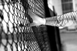 AXIS Q1971-E from Axis Communications - thermal camera - image 9